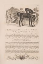 [Roberts (James & Henry)] [The Sportsman's Companion: or Portraitures, Pedigrees and Performances...