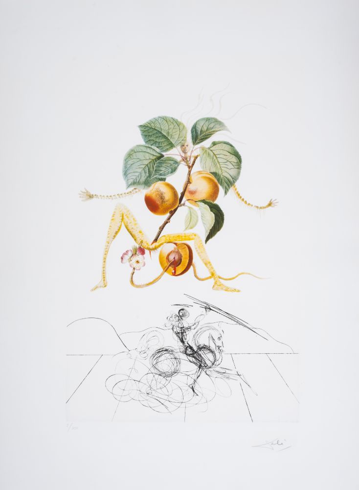 Salvador Dalí: Master of the Surreal - Forum Auctions