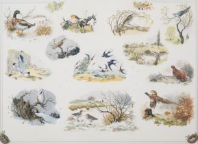 Baynes (Pauline) Original illustration for 'A Calendar of Birds', or 'Birds of the month', bodyco...