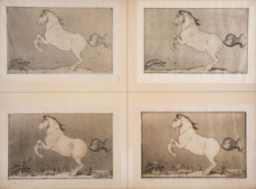 Detmold (Edward Julius) Four variant working proof impressions of 'Horse', etchings and drypoint,...