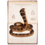 India.- Ewart (Joseph) The Poisonous Snakes of India, first edition, 1878.