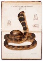 India.- Ewart (Joseph) The Poisonous Snakes of India, first edition, 1878.