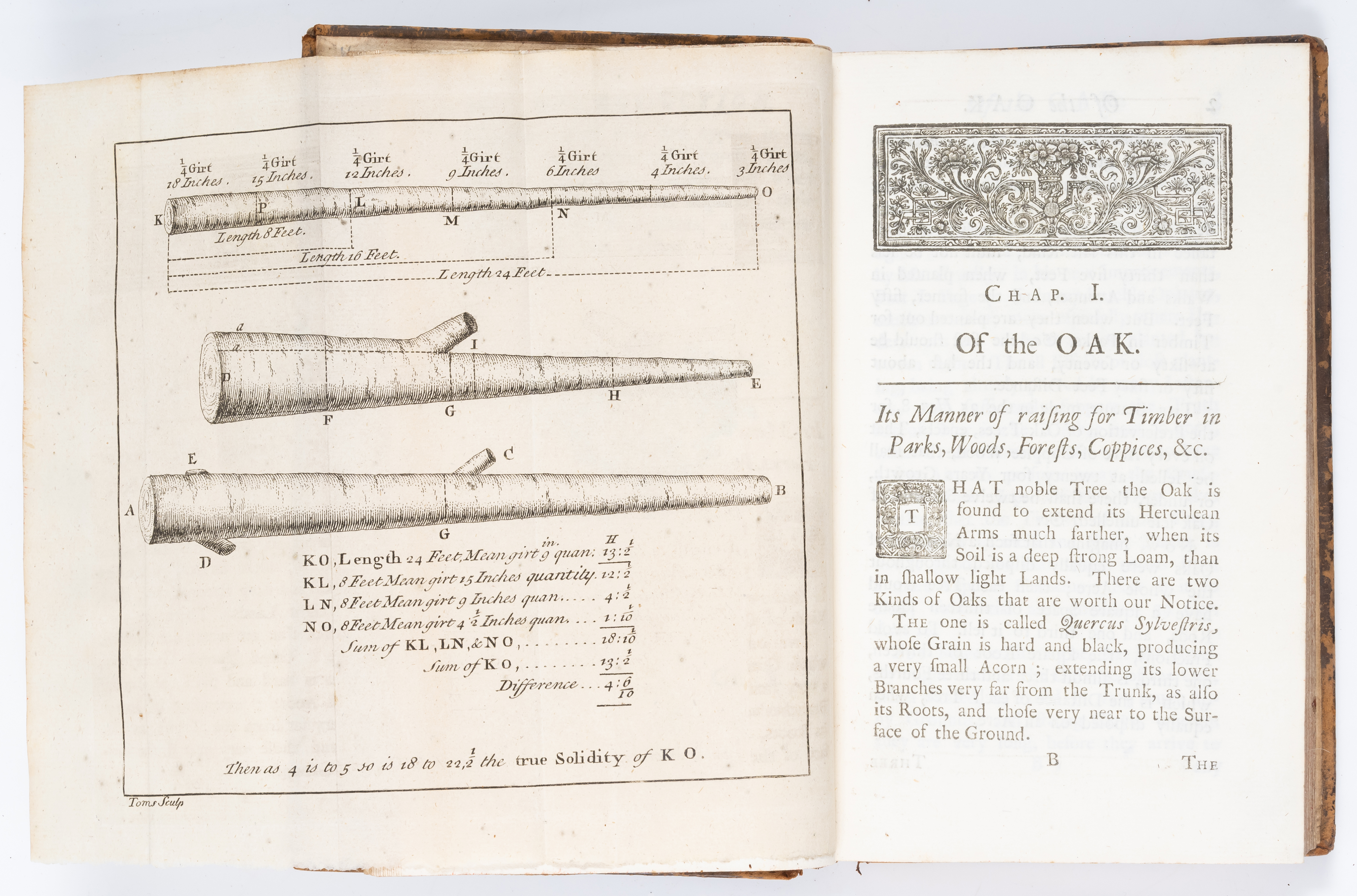 Tree plantations.- Langley (Batty) A Sure Method of Improving Estates, by Plantation of Oak, Elm,...