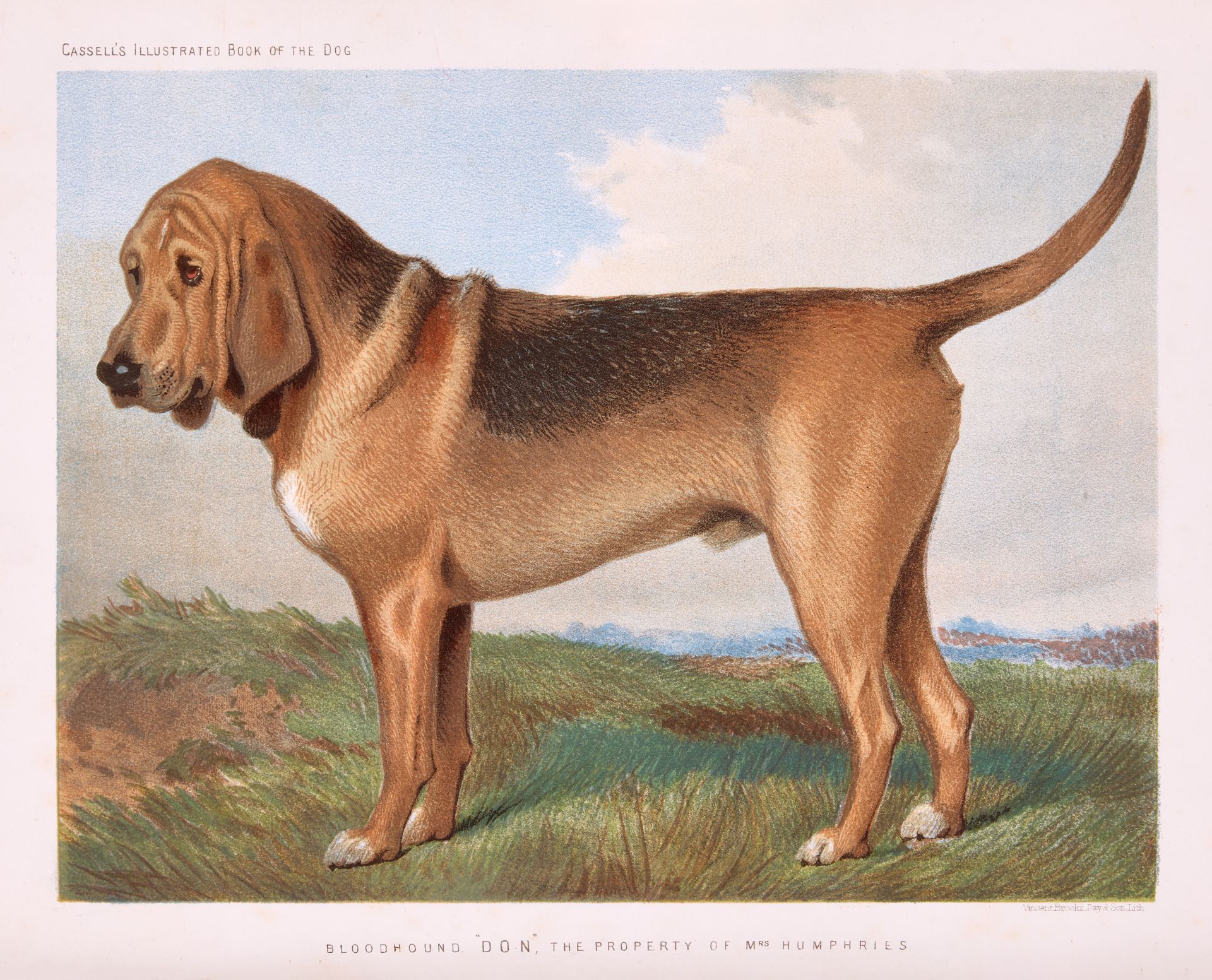 Shaw (Vero) The Illustrated Book of the Dog, 1883