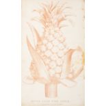 Fruit.- Abercrombie (John) The Hot-House Gardener on the general Culture of the Pine-Apple, and m...