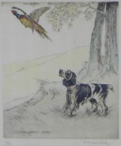 GEORGE VERNON STOKES, RBA, RMS (1873-1954) SPANIEL & PHEASANT, pencil signed etching, framed under