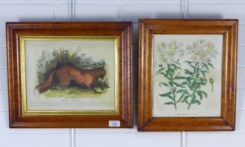 AFTER JOSEPH WOOD ??, two lithographic prints in good walnut veneered frames to include The FOX