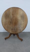 Mahogany tilt top table, circular top with moulded edge, on a baluster column and tripod base, 102 x