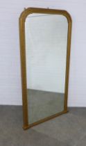 Large Gilt framed pier mirror, within a moulded egg and dart frame, 104 x 198cm.