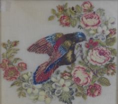 Woolwork panel of an exotic bird, framed under glass, 54 x 50cm