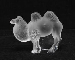 Lalique frosted glass model of a Camel, signed, with box, 10 x 8cm.