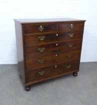 Georgian mahogany chest, the rectangular top with a moulded edge above two short and four long