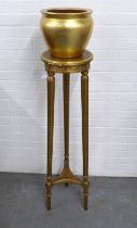 Giltwood torchere stand, circular top on three outswept fluted legs, united by an undertier, 31 x
