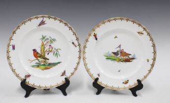 A pair of bird and insect porcelain cabinet plates with gilt edged rims, (2) 26cm.