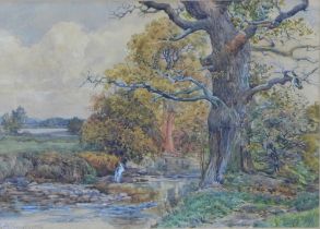 RICHARD DAVIES RI (1841 - 1920), untitled watercolour of a woodland stream with heron, signed and