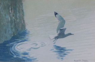 FREDERICK J. WATSON, untitled watercolour of a Gull, signed and framed under glass, 22 x 15cm