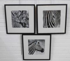 A set of three black and white framed Zebra prints, (3) 52cm square including frames