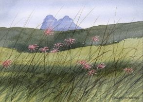 JIM NICHOLSON (SCOTTISH 1924-1996) SUILVEN WITH RAGGED ROBIN, watercolour, signed bottom right and