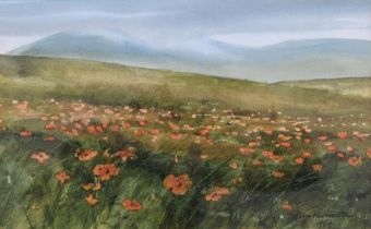 JIM NICHOLSON (SCOTTISH 1924-1996) WILD POPPIES, HARRIS, watercolour, signed bottom right and framed