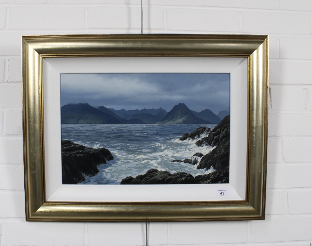 IAN S. JOHNSTON (SCOTTISH 1957-2009) LOCH SCAVAIG & THE CUILLINS, SKYE, signed oil on board, - Image 2 of 4