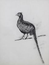 DAVID MICHIE O.B.E., R.S.A., R.G.I., F.R.S.A (SCOTTISH 1928-2015) PHEASANT, drawing, framed under