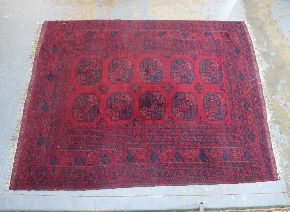 Afghan rug with red field, 300 x 235cm.