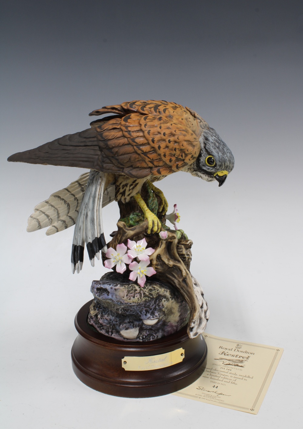 Royal Doulton Kestrel (Falco Tinnunculus), Ltd Ed 44 / 950, on wooden base, 29cm high including base