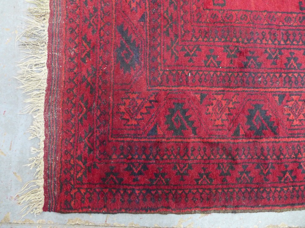 Afghan rug with red field, 300 x 235cm. - Image 3 of 4