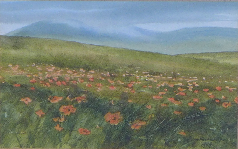 JIM NICHOLSON (SCOTTISH 1924-1996) WILD POPPIES, HARRIS, watercolour, signed bottom right and framed