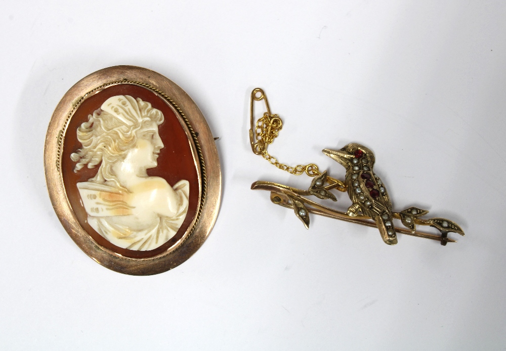Late 19th century Kookaburra seed pearl brooch set in yellow metal together with a 9ct gold framed