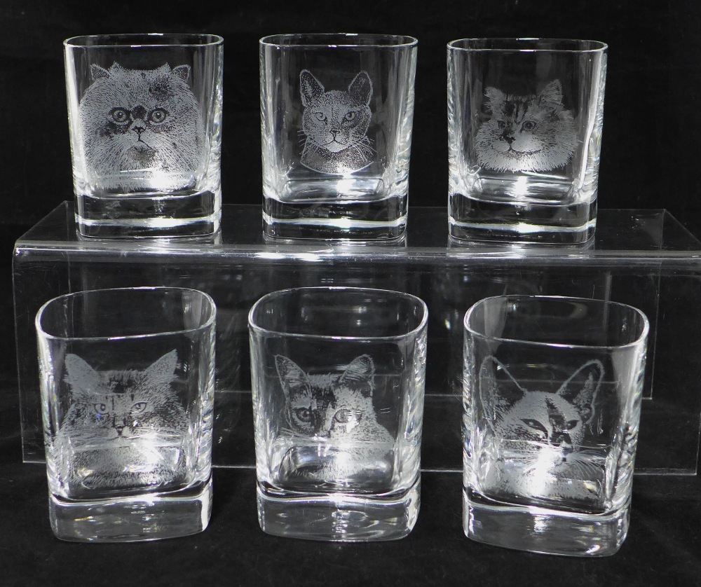 Set of 6 cat patterned glass tumblers, boxed (6)