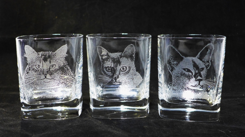 Set of 6 cat patterned glass tumblers, boxed (6) - Image 2 of 2