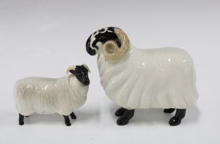 Beswick black face ram and ewe (2) 17cm.