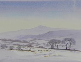 DAVID BELLAMY, BRENTMOR - DARTMOOR, signed watercolour, framed under glass and labelled verso, 30