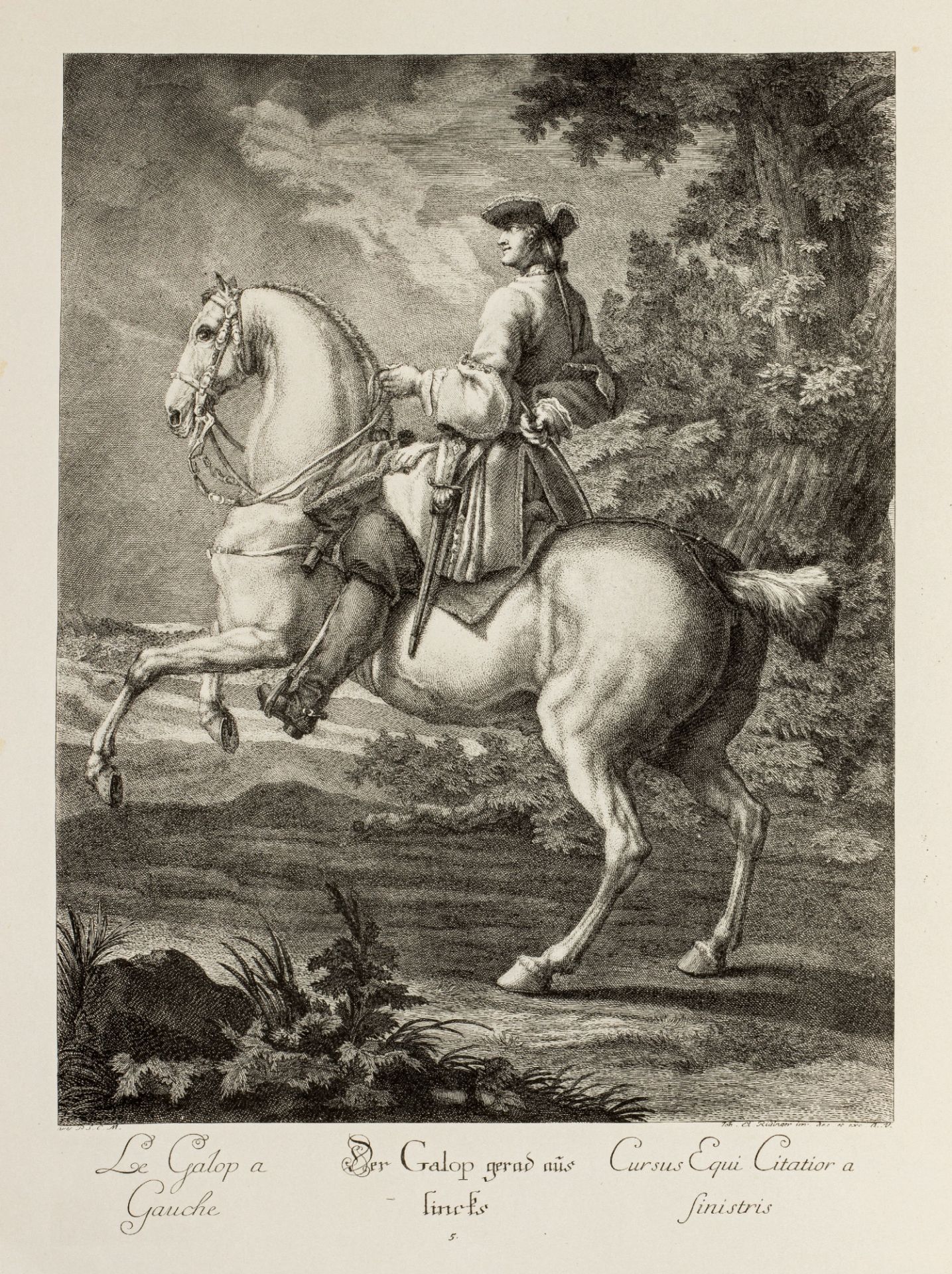 Ridinger, Johann Elias | 1698 Ulm - 1767 Augsburg - Bild 17 aus 21
