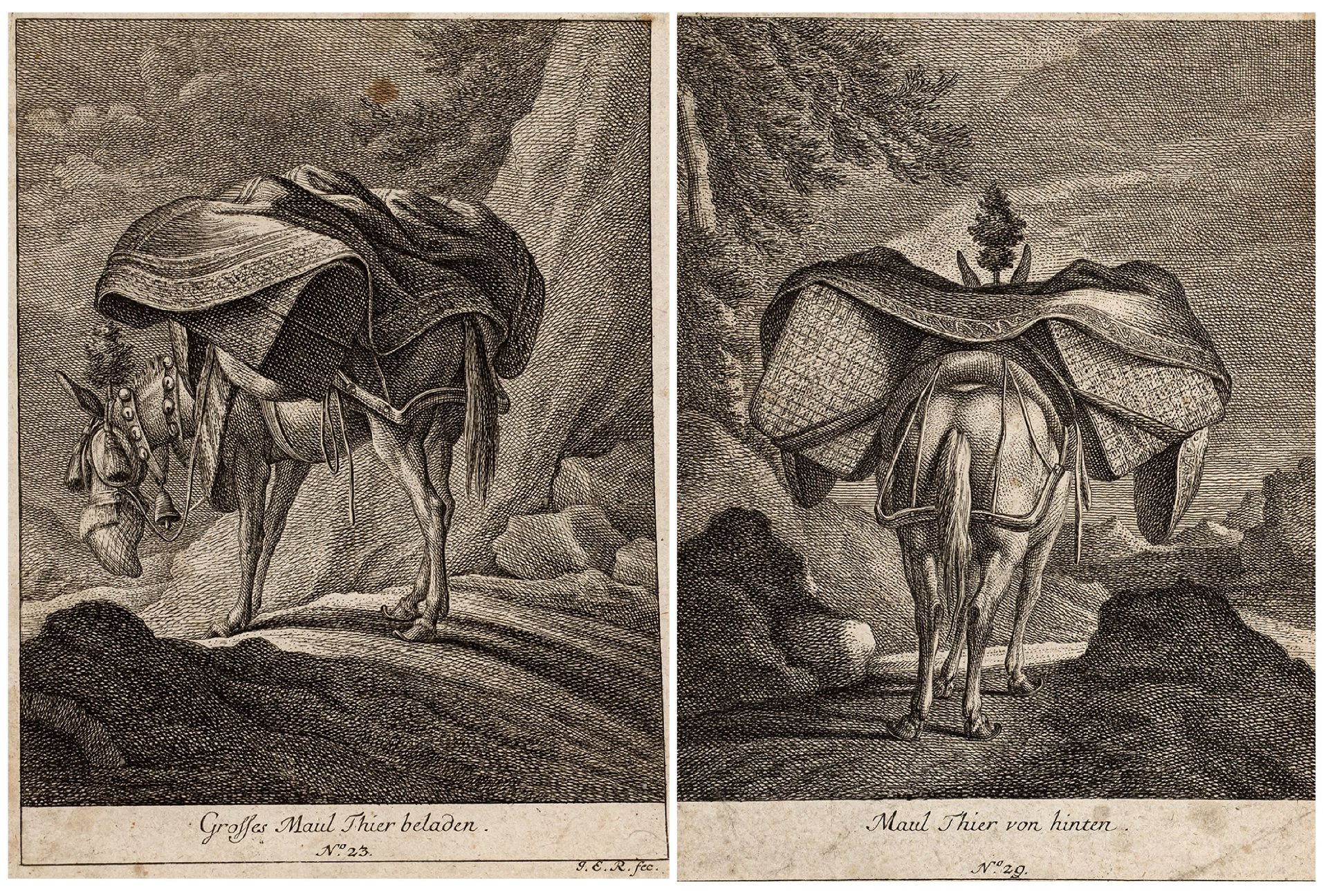 Ridinger, Johann Elias | 1698 Ulm - 1767 Augsburg