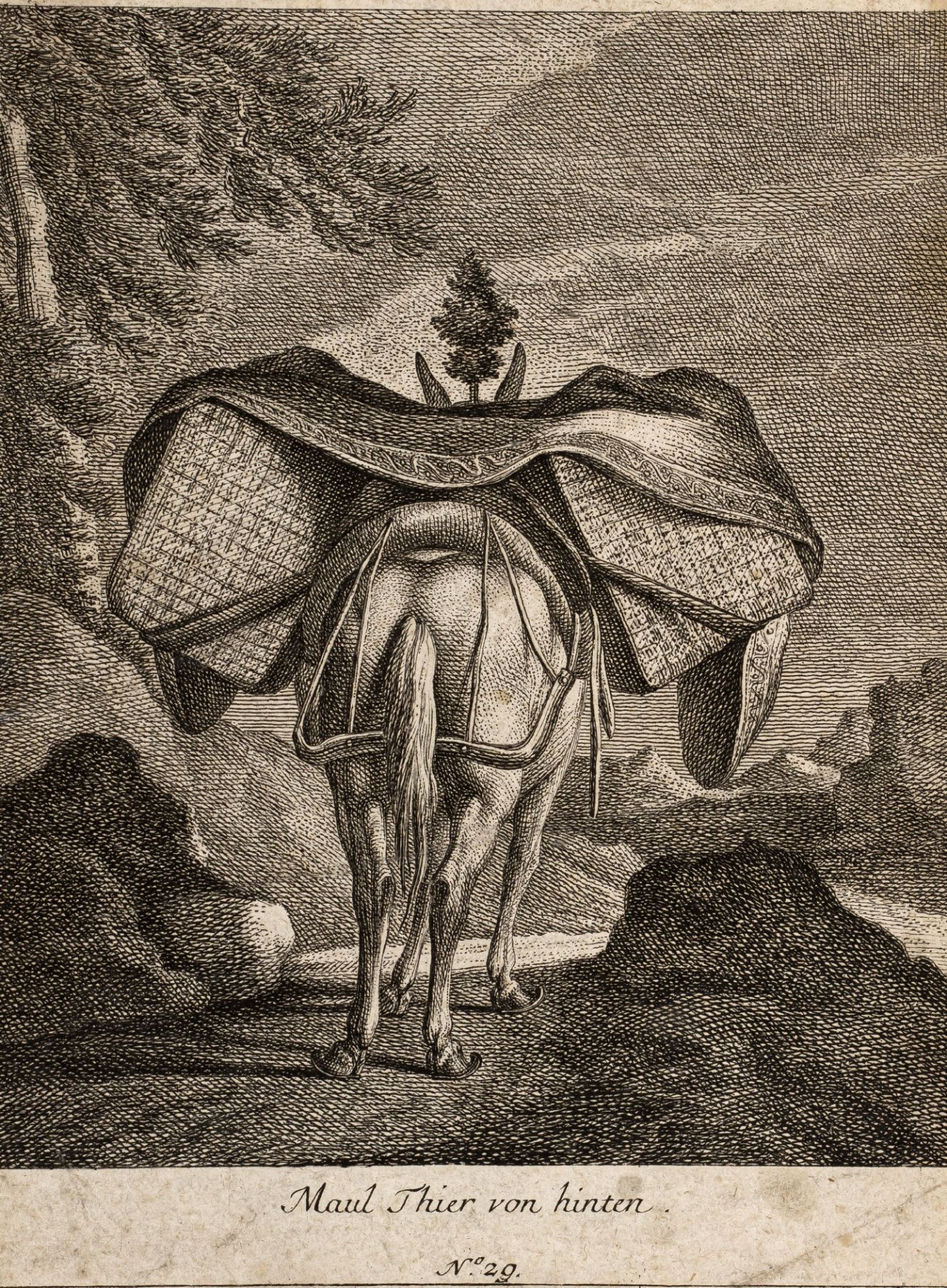 Ridinger, Johann Elias | 1698 Ulm - 1767 Augsburg - Bild 3 aus 3