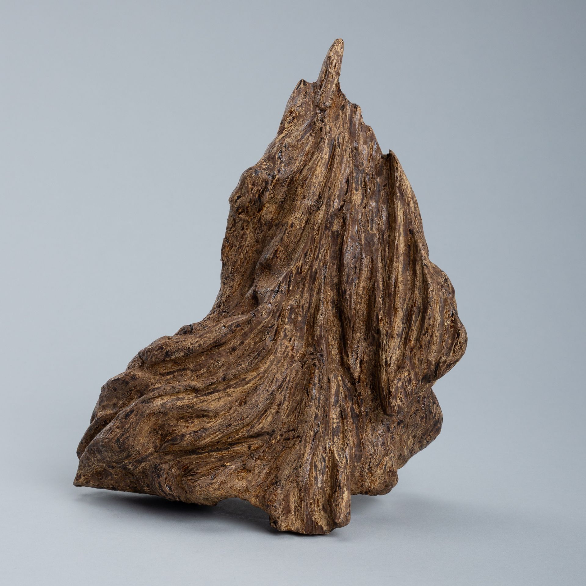 AN AGAR WOOD SCHOLAR'S ROCK, QING