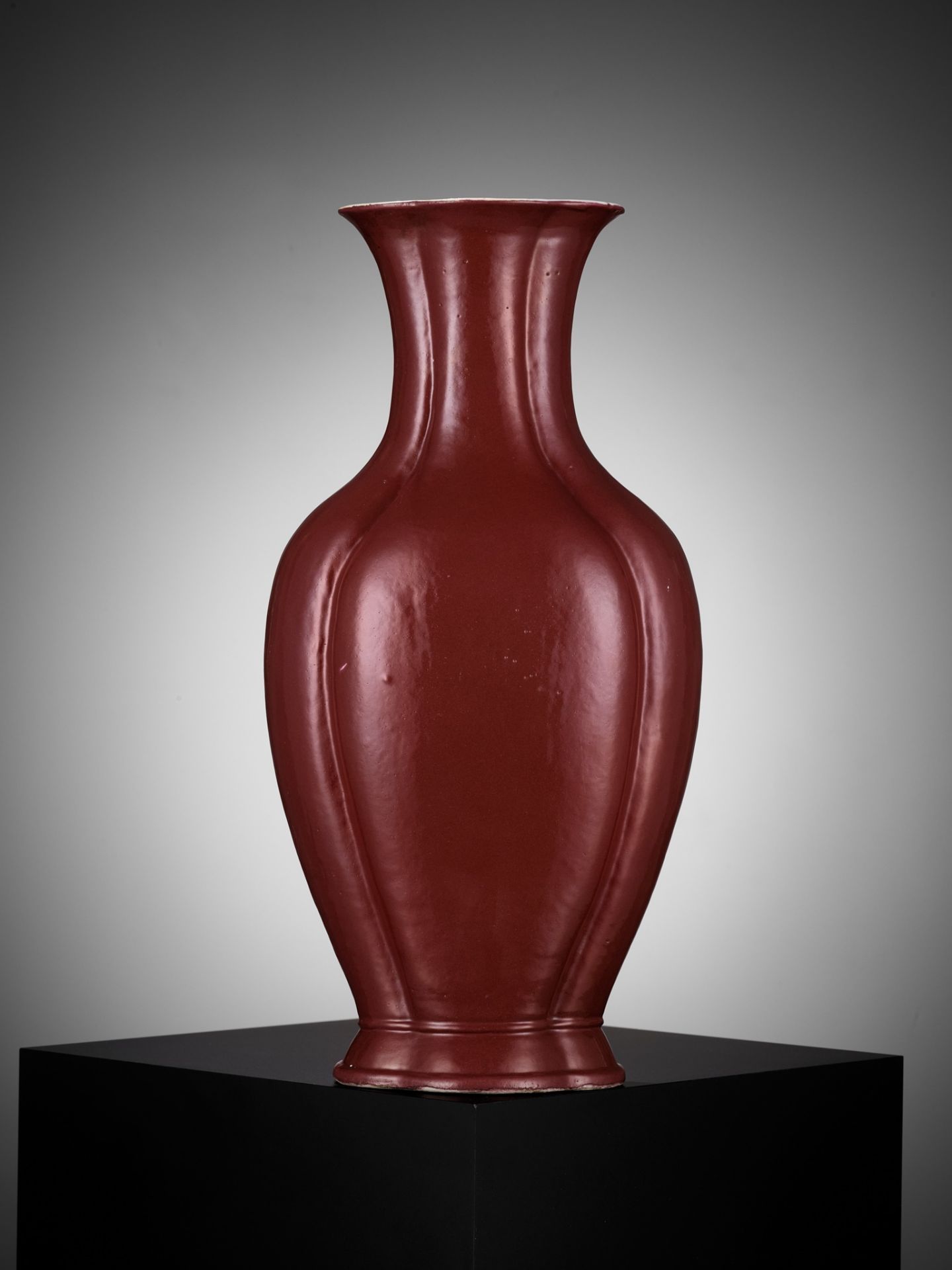 A COPPER-RED GLAZED 'HAITANG' VASE, QING DYNASTY, DAOGUANG PERIOD - Image 9 of 12