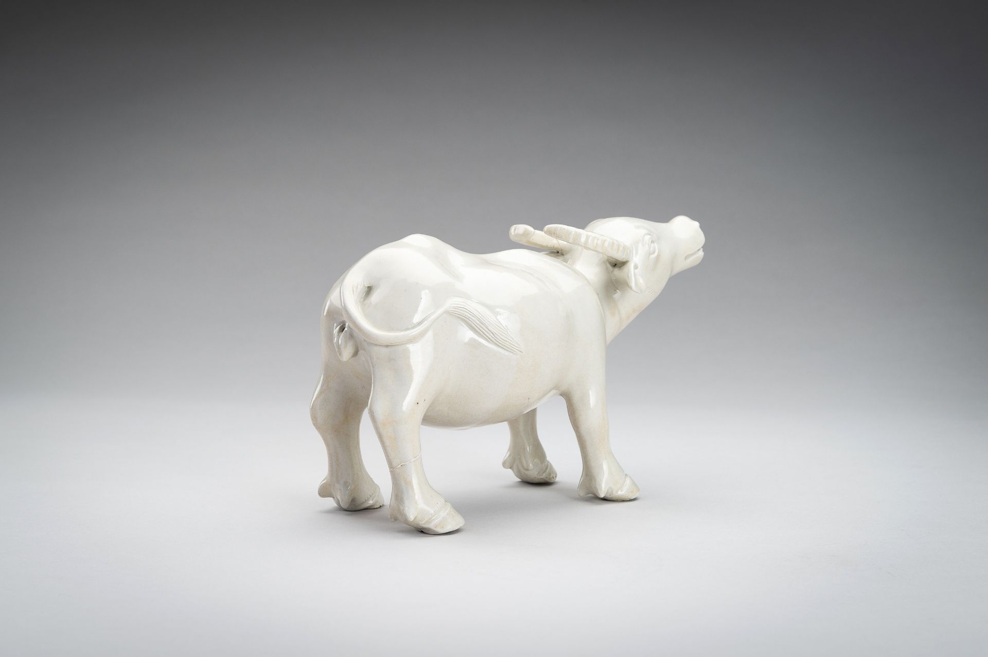 A DEHUA FIGURE OF AN OX, QING DYNASTY - Image 6 of 12
