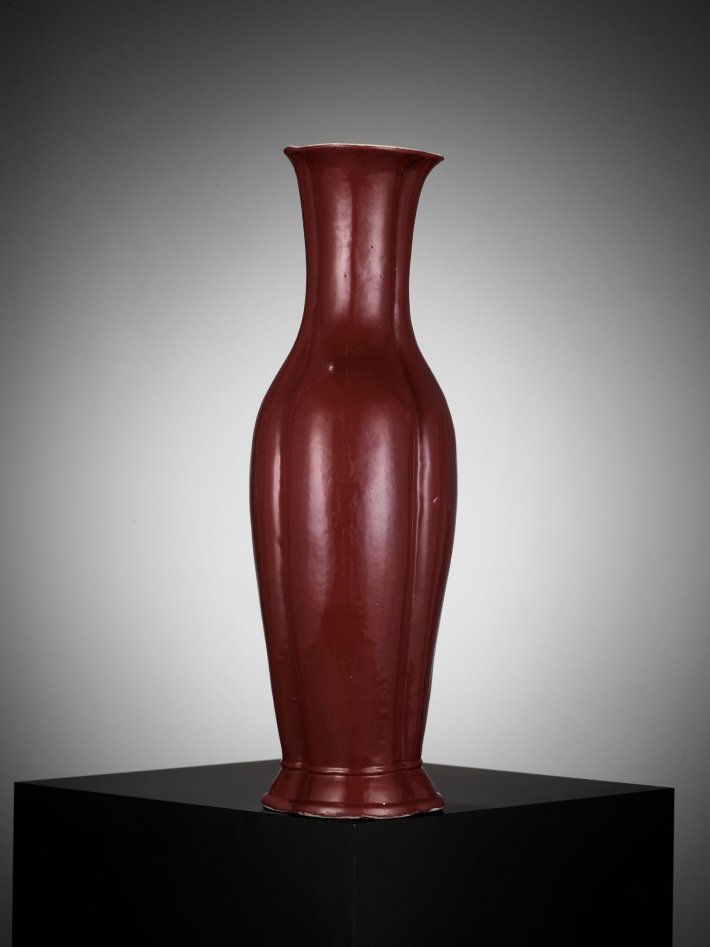 A COPPER-RED GLAZED 'HAITANG' VASE, QING DYNASTY, DAOGUANG PERIOD - Image 8 of 12