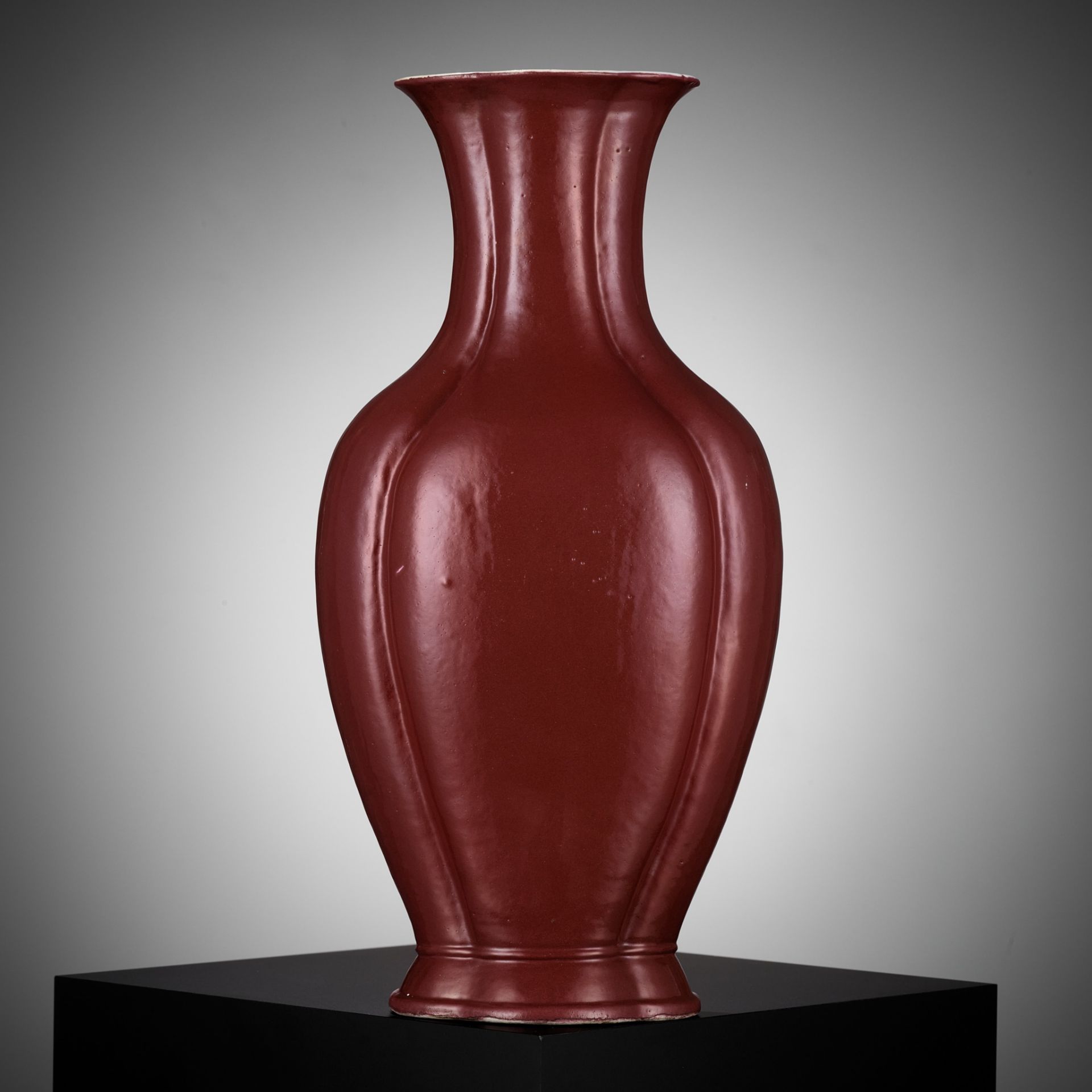 A COPPER-RED GLAZED 'HAITANG' VASE, QING DYNASTY, DAOGUANG PERIOD - Image 12 of 12