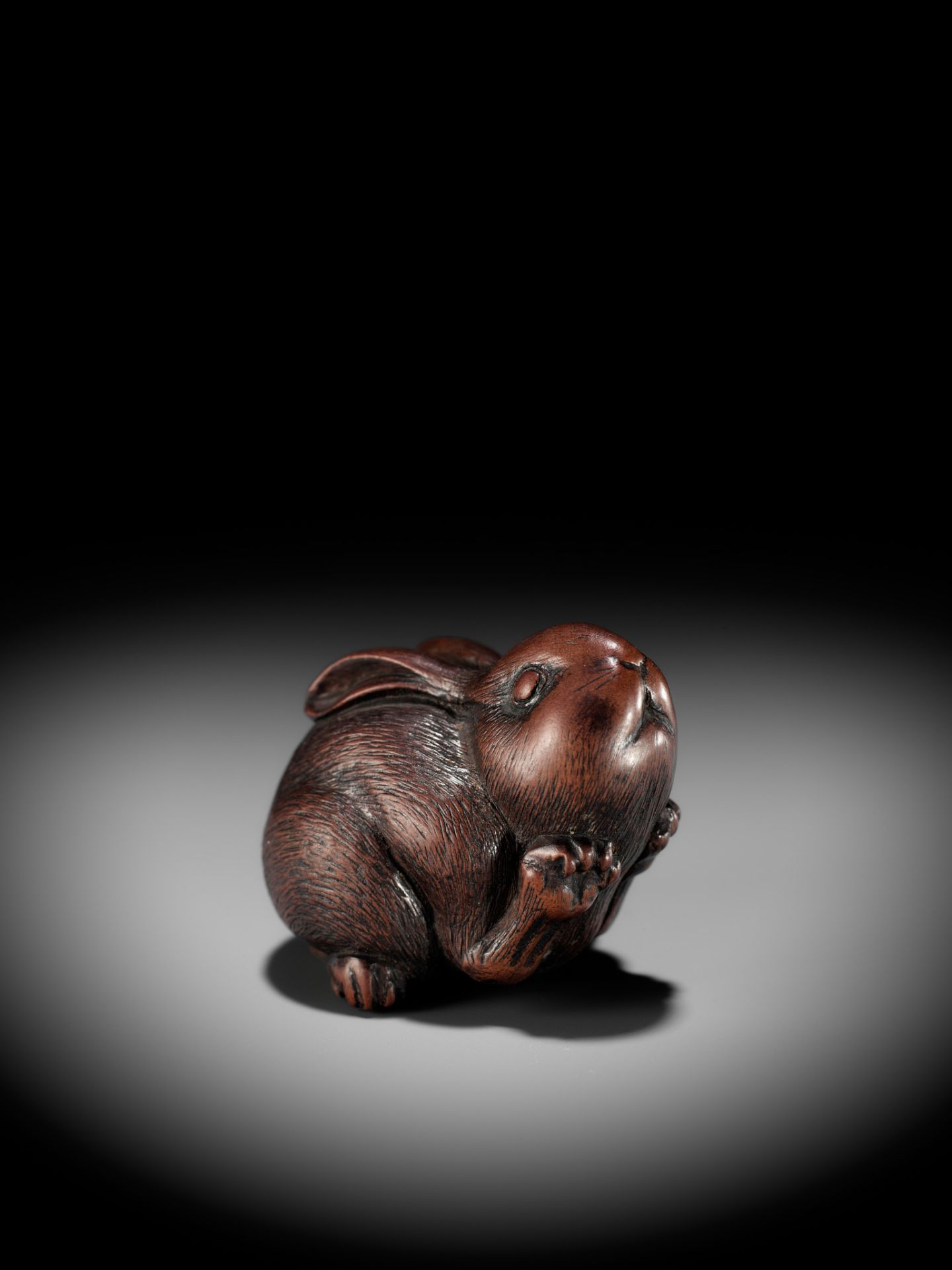 AZAN: A SUPERB WOOD NETSUKE OF A CHUBBY HARE - Image 2 of 15