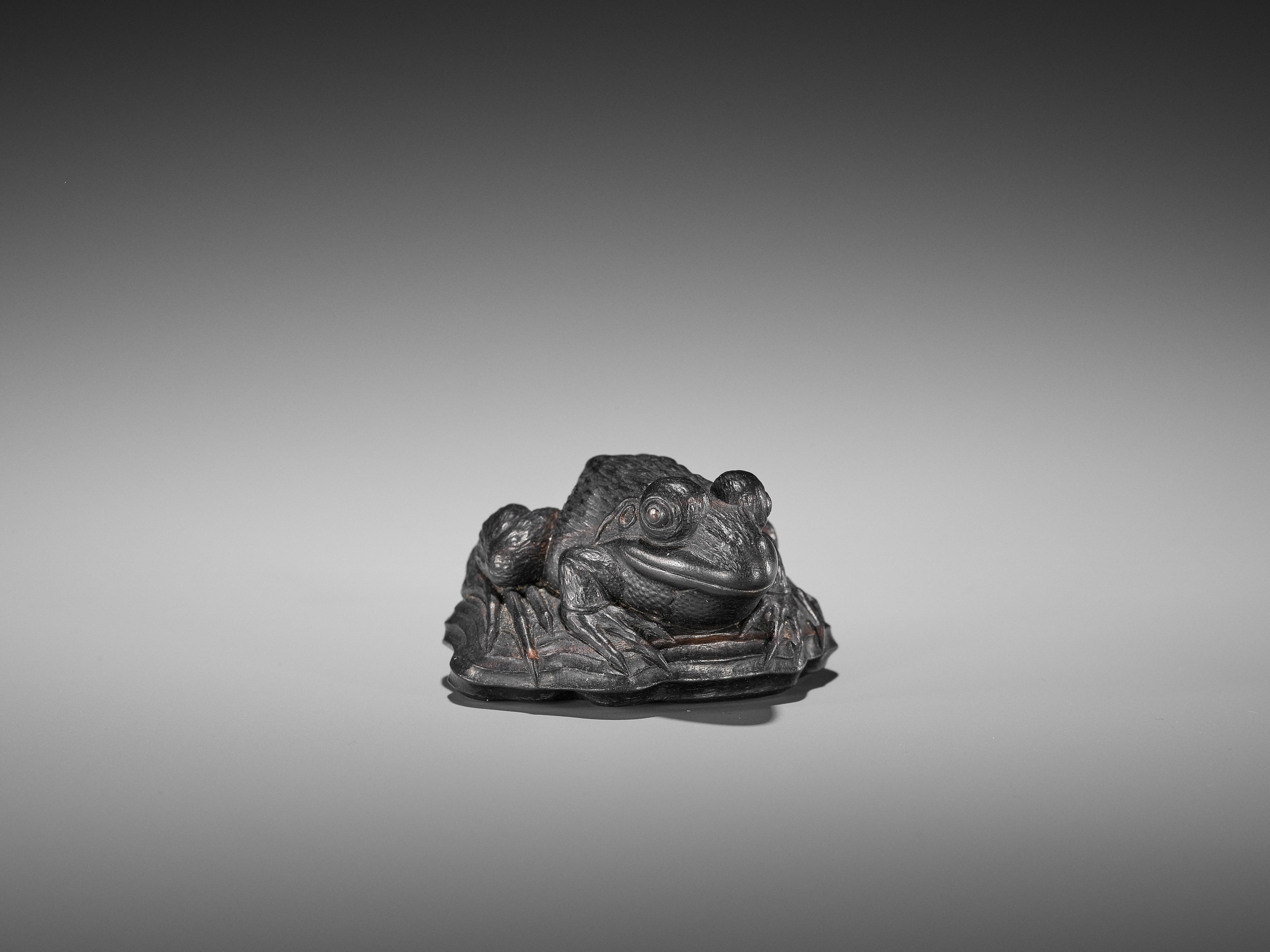 A SUPERB EBONY WOOD NETSUKE OF A FROG ON DRIFTWOOD ATTRIBUTED TO SEIYODO TOMIHARU - Image 15 of 20