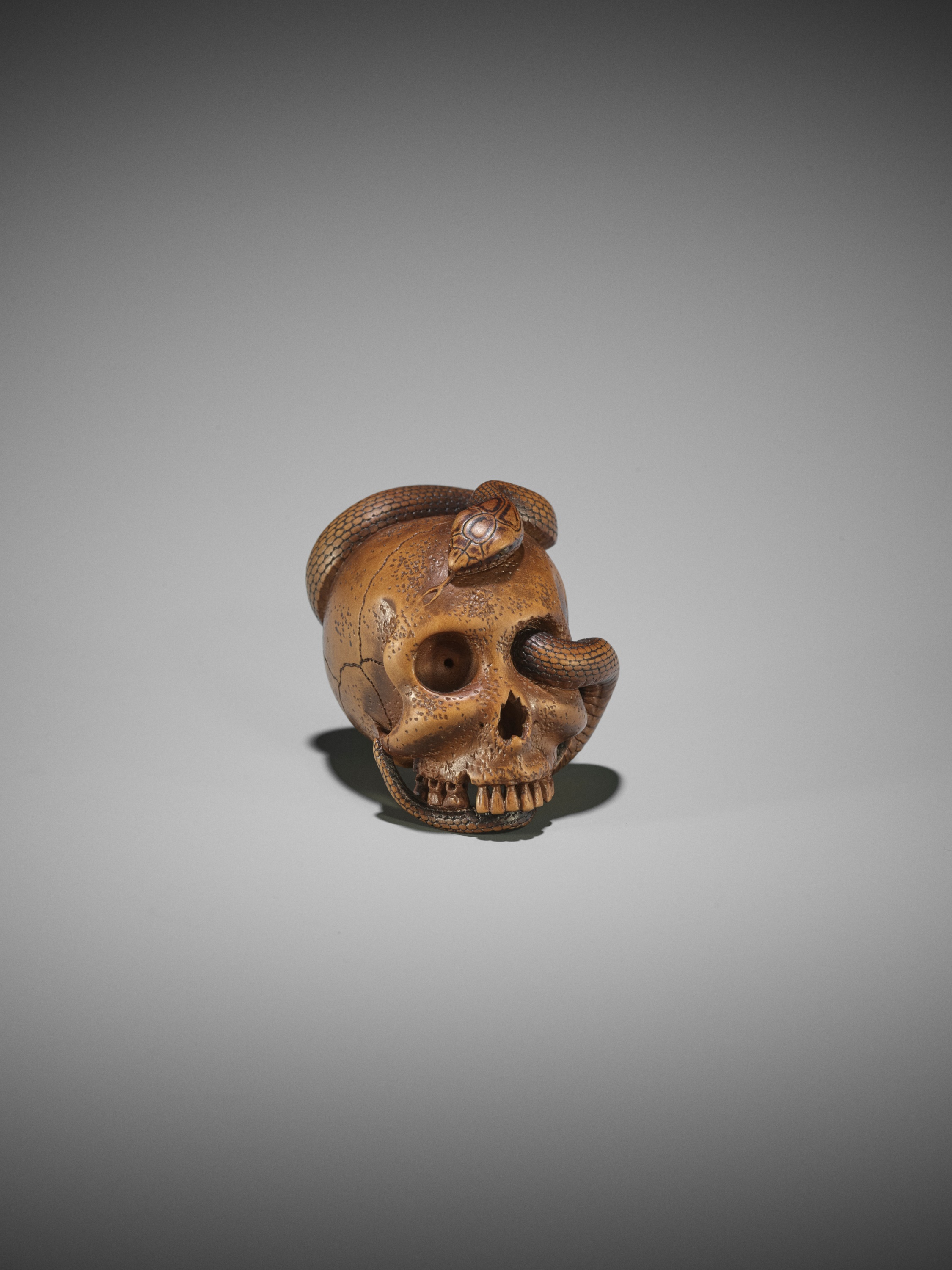 SUKEYUKI: A MASTERFUL WOOD NETSUKE OF A SNAKE AND SKULL - Image 4 of 19