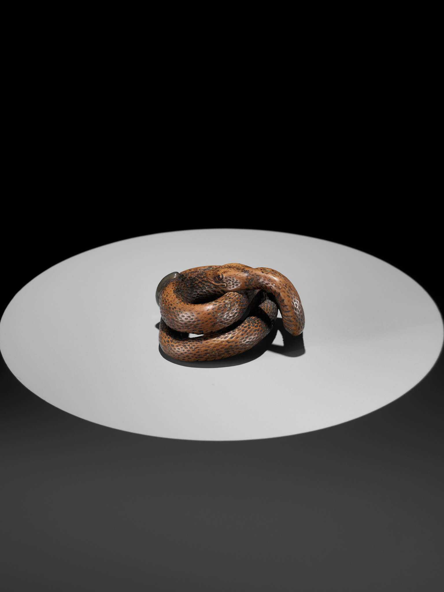 A LARGE AND POWERFUL WOOD NETSUKE OF A COILED SNAKE WITH AN INLAID SLUG BY TOMOKAZU - Image 6 of 13