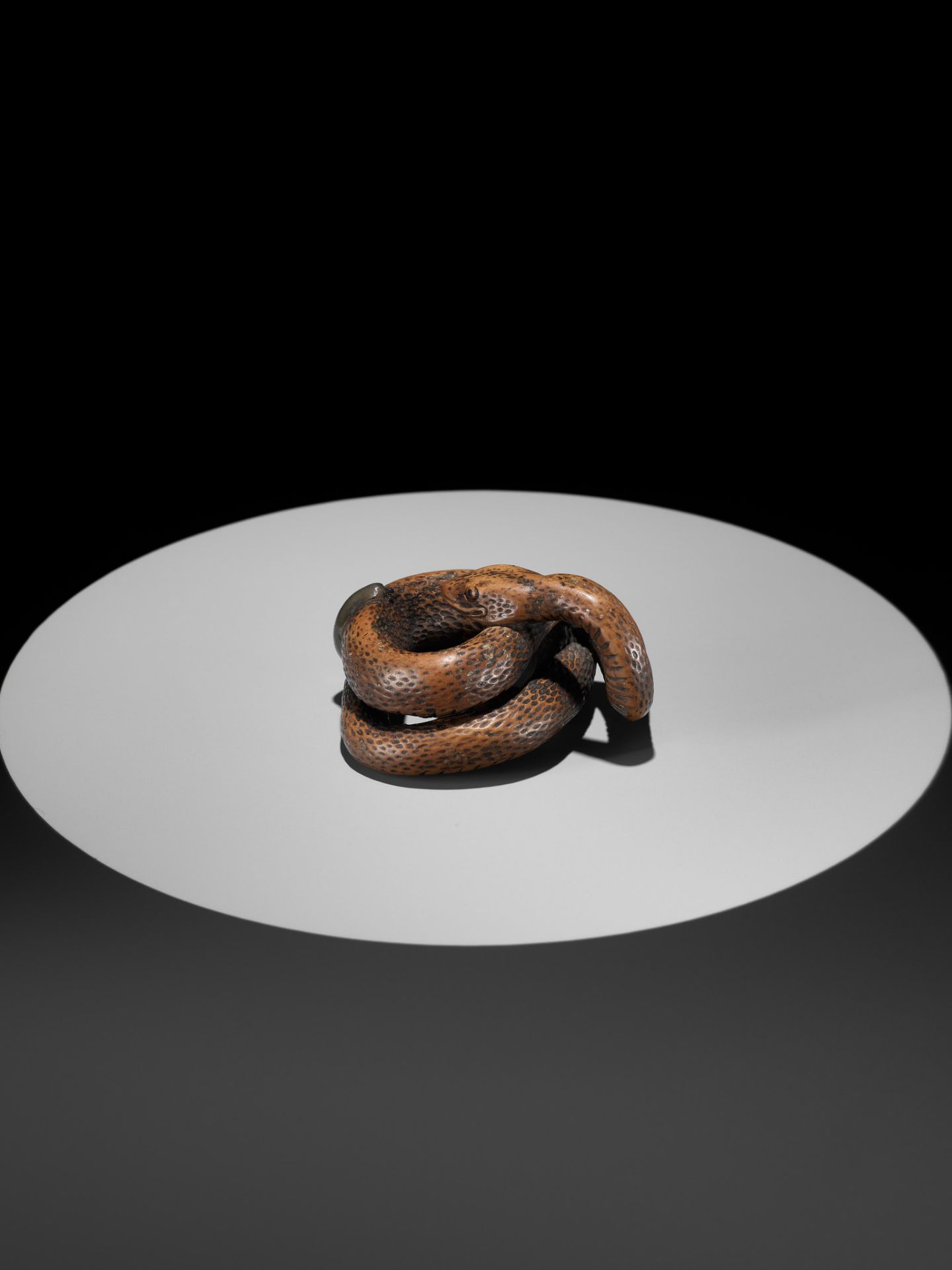 A LARGE AND POWERFUL WOOD NETSUKE OF A COILED SNAKE WITH AN INLAID SLUG BY TOMOKAZU - Bild 6 aus 13