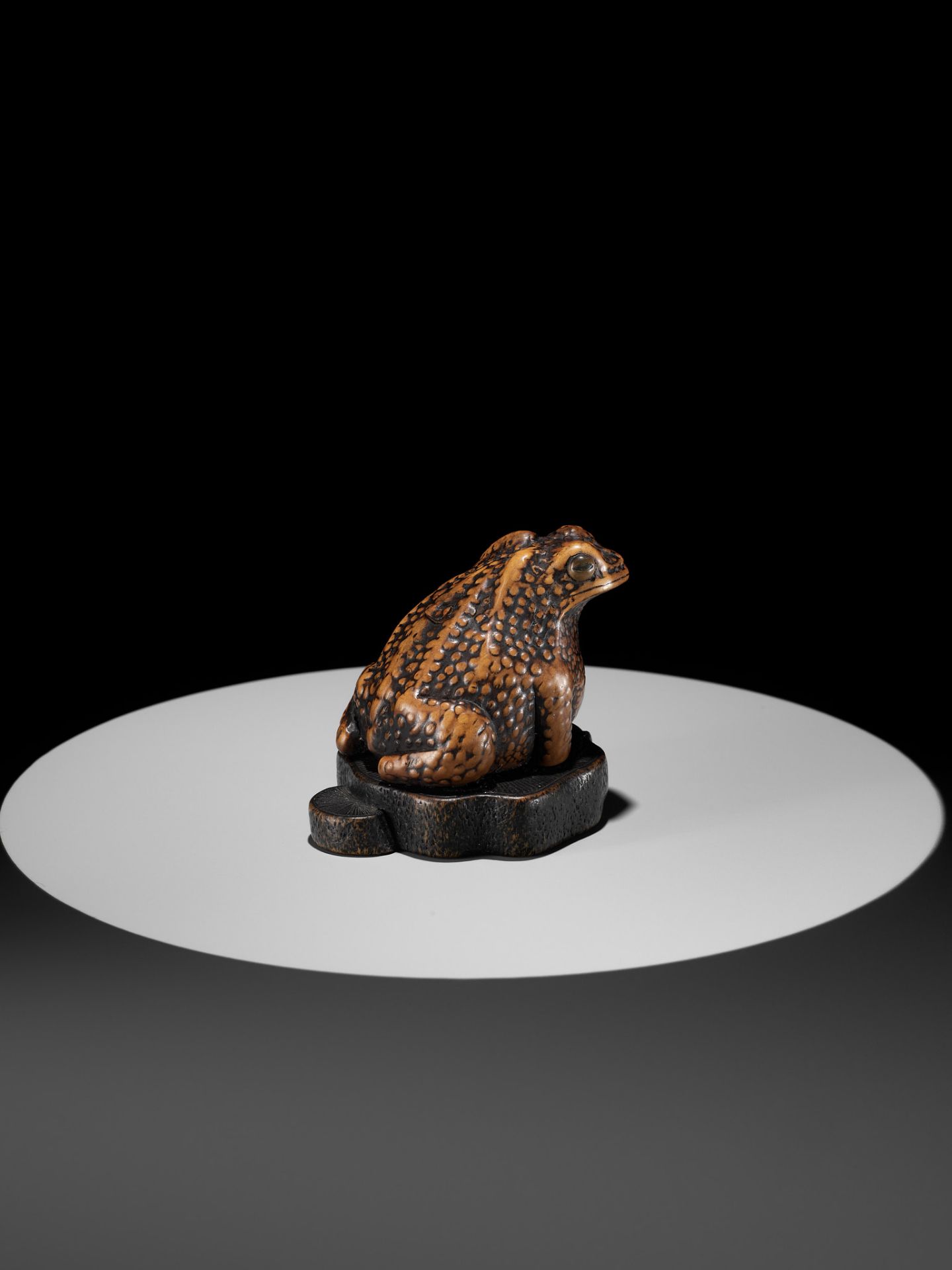 A LARGE AND UNUSUAL WOOD NETSUKE OF A TOAD - Bild 9 aus 11