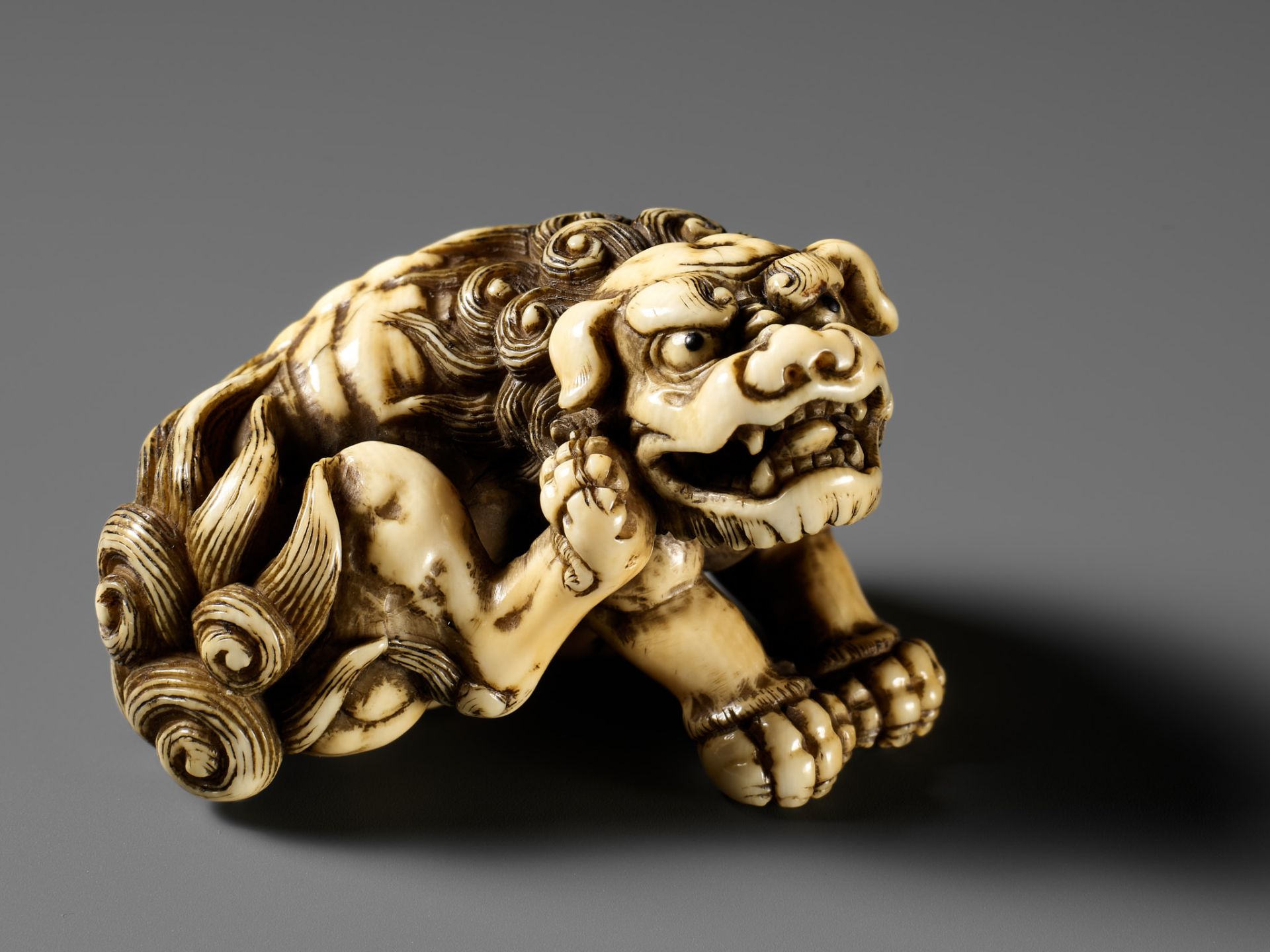 TOMOTADA: A SUPERB IVORY NETSUKE OF A RECUMBENT SHISHI SCRATCHING ITS JOWL - Image 8 of 24