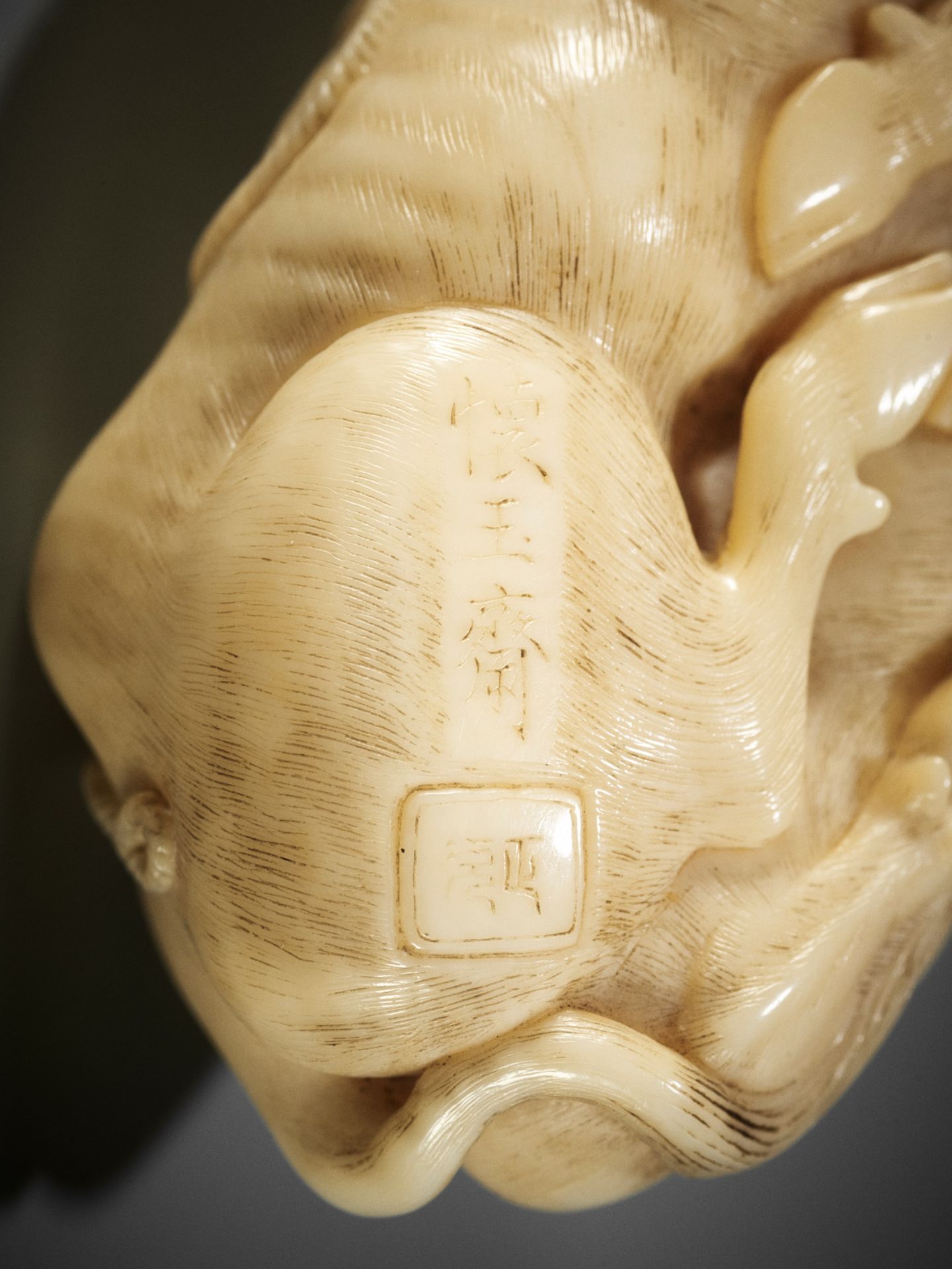 KAIGYOKUSAI MASATSUGU: A MASTERFUL AND IMPORTANT IVORY NETSUKE OF A RECUMBENT OX - Image 12 of 30